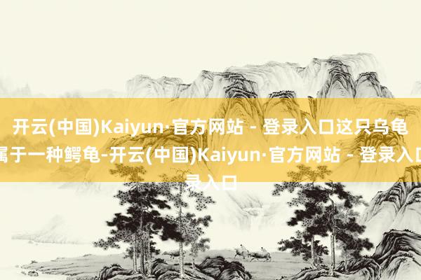 开云(中国)Kaiyun·官方网站 - 登录入口这只乌龟属于一种鳄龟-开云(中国)Kaiyun·官方网站 - 登录入口