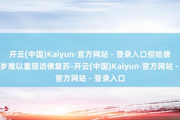 开云(中国)Kaiyun·官方网站 - 登录入口但哈德曼觉得来岁难以重现访佛复苏-开云(中国)Kaiyun·官方网站 - 登录入口